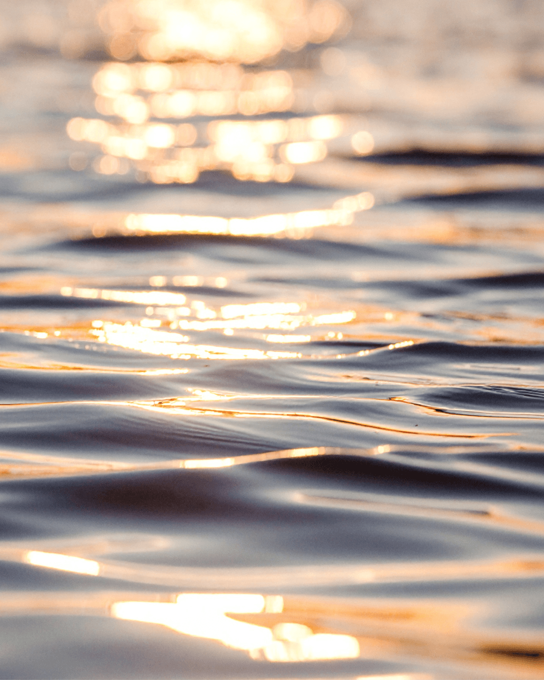 Seeing What Shapes You